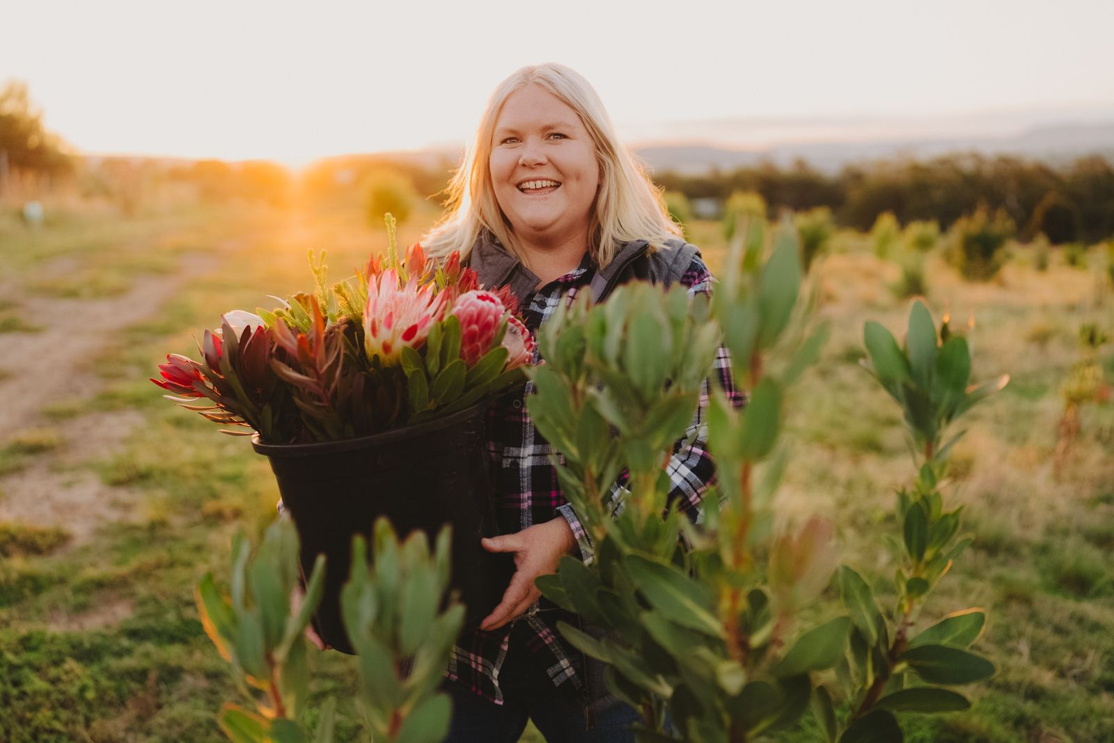 Nikki smiling in a protea paddock at sunset, holding a bucket of freshly picked flowers